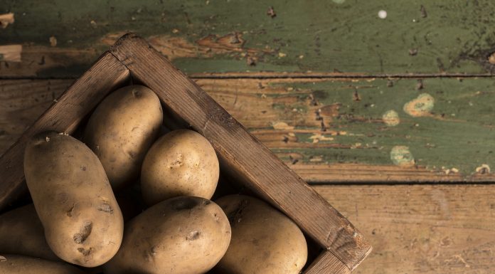 Dieta ziemniaczana