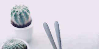 Zdrowa dieta standardowa i największe mity żywieniowe