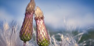 Jak pozbyć się zarysowań na okularach? Jak pozbyć się zarysowań na okularach?