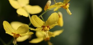 Jakie skarpetki do chodzenia po górach? Jakie skarpetki do chodzenia po górach?