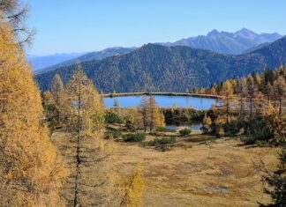 Czy witaminą C powoduje przebarwienia?