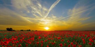 Co daje nam pole dance? Co daje nam pole dance?