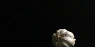 Jakie witaminy brakuje gdy wypadają włosy? Jakie witaminy brakuje gdy wypadają włosy?