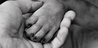 Co przysługuje choremu po udarze? Co przysługuje choremu po udarze?