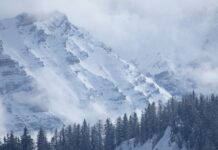 Co obejmuje przegląd stomatologiczny? Co obejmuje przegląd stomatologiczny?