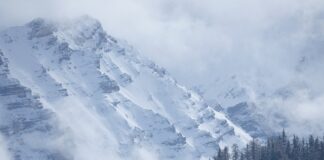 Co obejmuje przegląd stomatologiczny? Co obejmuje przegląd stomatologiczny?