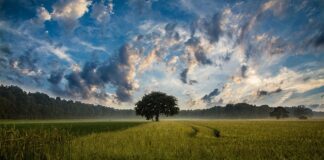 Co zamiast magnezji pole dance? Co zamiast magnezji pole dance?