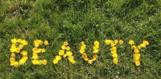 Na czym polega czynna asysta? Na czym polega czynna asysta?