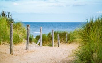 Jak zagęścić cienkie włosy?