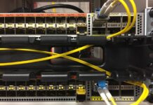 Jakie są przedmioty w technikum weterynarii? Jakie są przedmioty w technikum weterynarii?