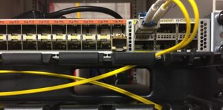 Jakie są przedmioty w technikum weterynarii? Jakie są przedmioty w technikum weterynarii?