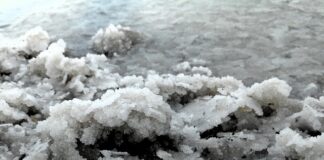 Czy magnez jest dobry na serce? Czy magnez jest dobry na serce?