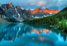 Ile osób na jedno miejsce weterynaria?