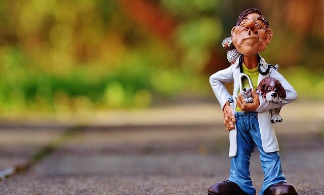 Ile zarabia weterynarz z własnym gabinetem?