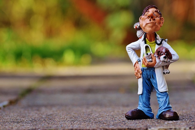 Ile zarabia weterynarz z własnym gabinetem? Ile zarabia weterynarz z własnym gabinetem?