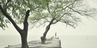 Jakie płyty na podjazd? Jakie płyty na podjazd?