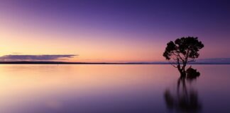 Co daje picie wody ze szczyptą soli? Co daje picie wody ze szczyptą soli?