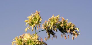 Jak sprawdzić czy ma się uczulenie na lateks? Jak sprawdzić czy ma się uczulenie na lateks?