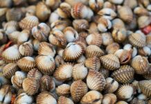 Jak wygląda łuszczyca na skórze? Jak wygląda łuszczyca na skórze?