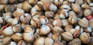 Jak wygląda łuszczyca na skórze?