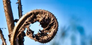 Jak dobrać krzywiznę soczewki? Jak dobrać krzywiznę soczewki?