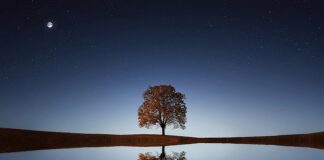 Na co pomaga picie soku z marchwi? Na co pomaga picie soku z marchwi?