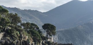 Ile kosztuje weterynaria zaoczna? Ile kosztuje weterynaria zaoczna?