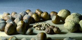 Czy magnez chroni przed udarem?