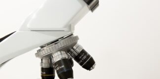 Co to jest w morfologii Hgb? Co to jest w morfologii Hgb?