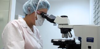 Czy opłaca się iść do technikum weterynaryjnego? Czy opłaca się iść do technikum weterynaryjnego?