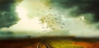 Jaki tytuł po weterynarii?