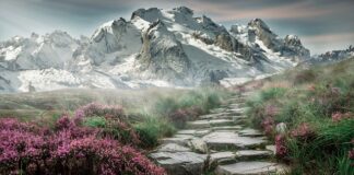 Czym się różnią kamienie Gua Sha? Czym się różnią kamienie Gua Sha?