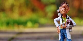 Czego nie może wypisać weterynarz? Czego nie może wypisać weterynarz?