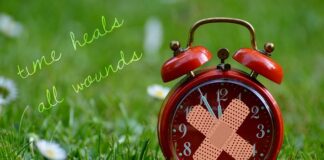 Kto leczy zwierzęta? Kto leczy zwierzęta?