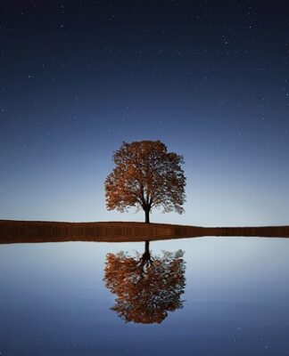 Co daje picie soku z jabłek?