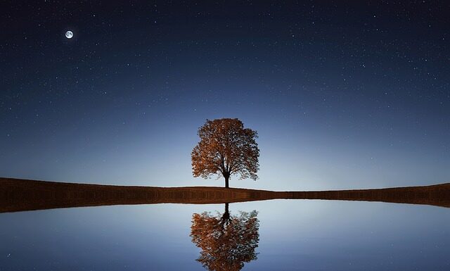 Co daje picie soku z jabłek?