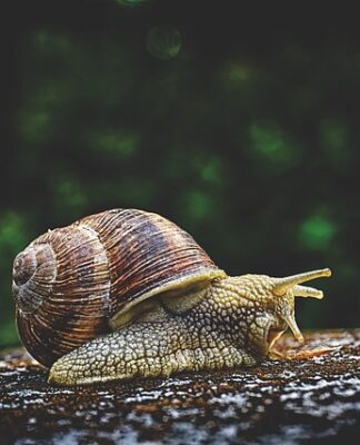 Jak wygląda śluz z podniecenia?
