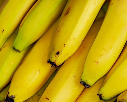 Czy można jeść banana z mlekiem? Czy można jeść banana z mlekiem?