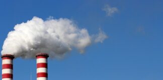 Ile godzin pracuje dentysta?