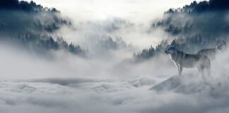 Jakie skarpety na zimę? Jakie skarpety na zimę?