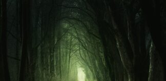 Czy zielona herbata jest dobra dla serca? Czy zielona herbata jest dobra dla serca?