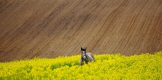 Jak przetrwać po rzuceniu palenia?