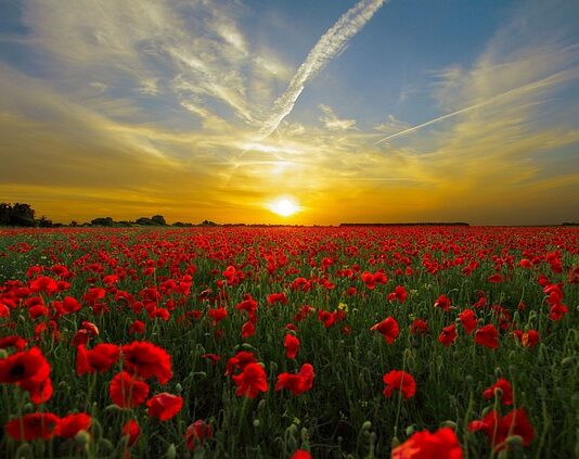 Czy pole dance obciąża kolana? Czy pole dance obciąża kolana?