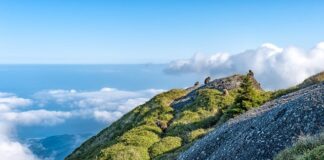 Jaka jest różnica między okularami progresywnymi a Dwuogniskowymi? Jaka jest różnica między okularami progresywnymi a Dwuogniskowymi?