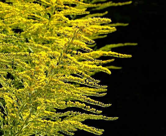 Do czego służy romb na kluczyku BMW?