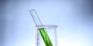 Na co pomaga chlorella i spirulina? Na co pomaga chlorella i spirulina?