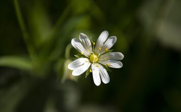 Co zrobić żeby mieć większe dłonie?