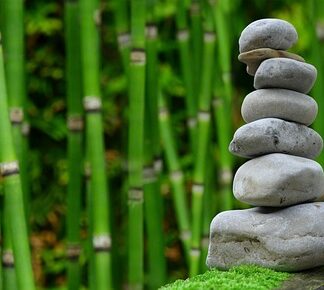 Czy bambus jest lepszy od bawełny?