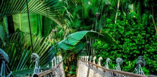 Ile kosztuje kurs asystentki stomatologicznej? Ile kosztuje kurs asystentki stomatologicznej?