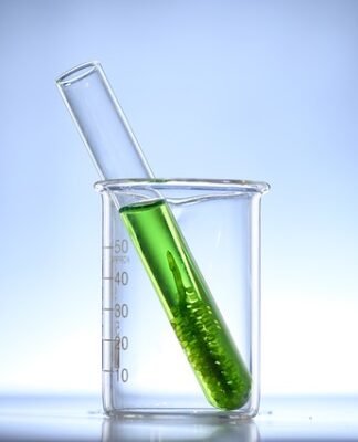 Jak działa Chlorella na organizm?